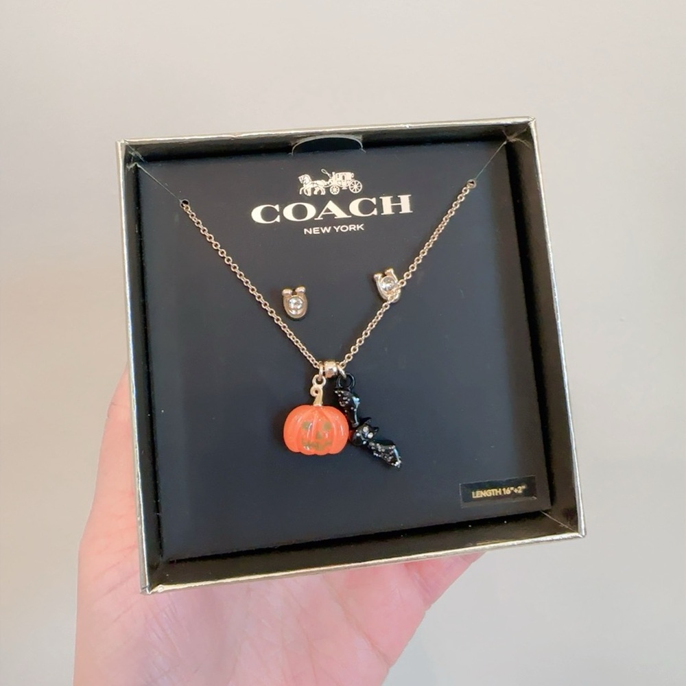 NWB COACH Halloween Jack-o’-lanter Pumpkin & Bat Earrings & Necklace Set CZ006 - Picture 1 of 5
